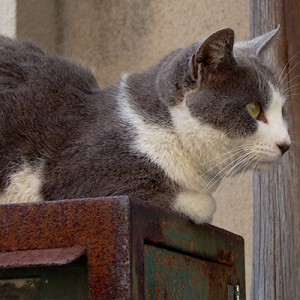 姉にゃんの横顔