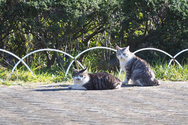 クロムとタンタル