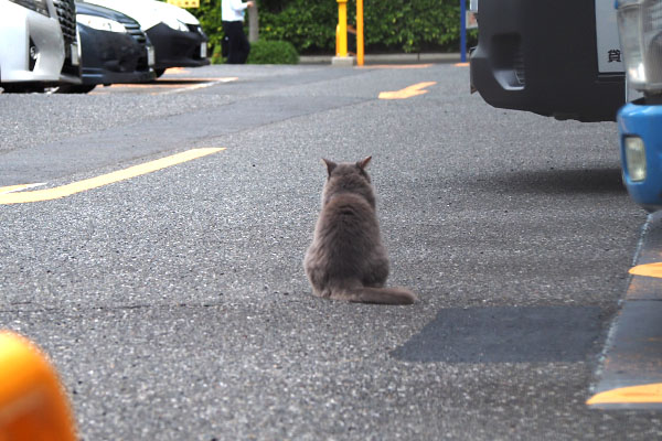 マフ　お座り背中