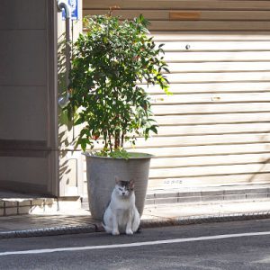 kei in front of plants