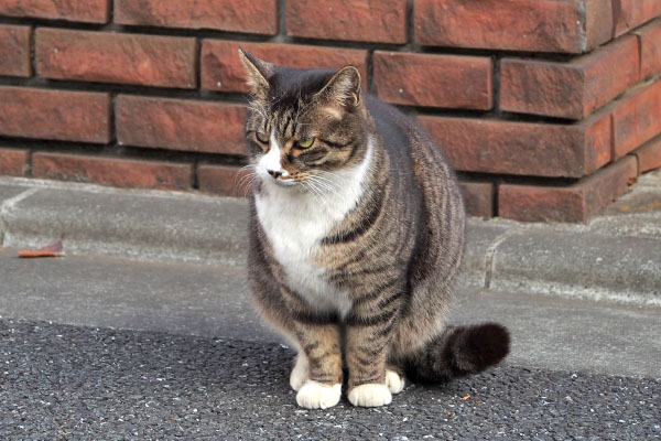 アシメ　しっぽの位置を左へ