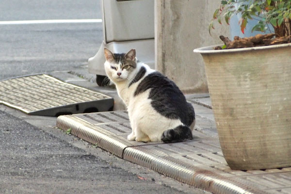 ケイ　こちらに気付く