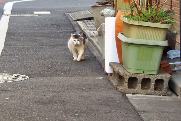 ケイ　行ってみるか