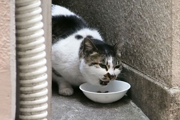 しぐれ食べる