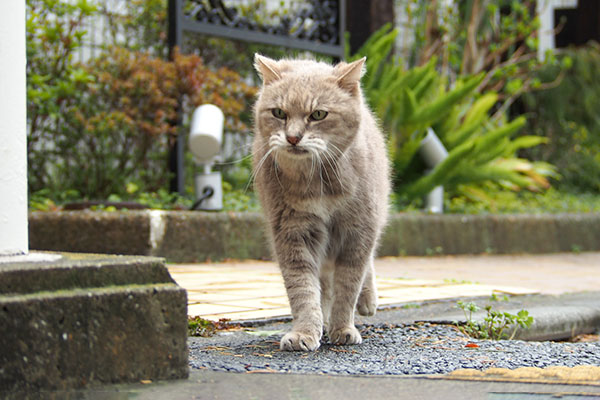 グリ　階段の下を見る