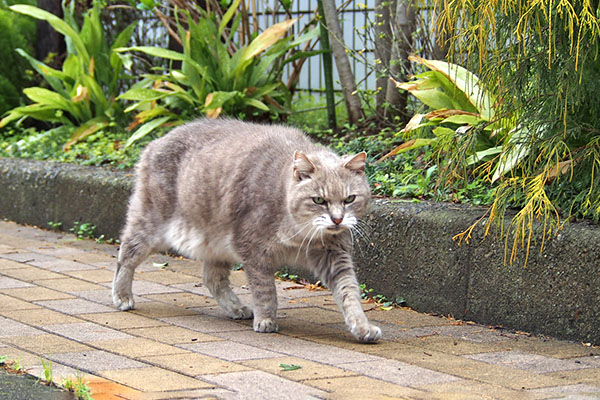 グリ　食べ終わって