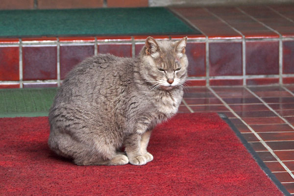 シピ　シブシブなお顔