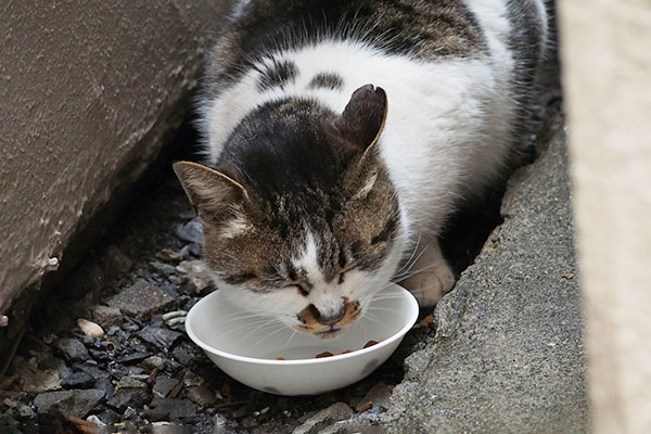 しぐれ　目を閉じて食べる