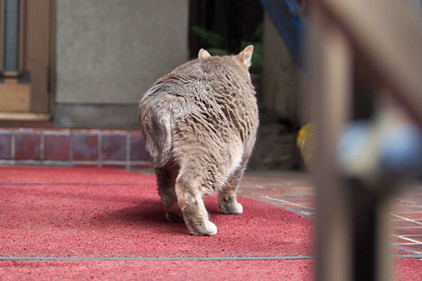 シピ　移動するお尻