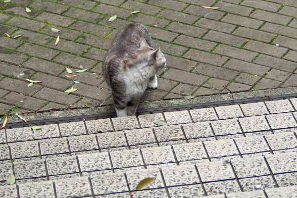 クロム　あっちか