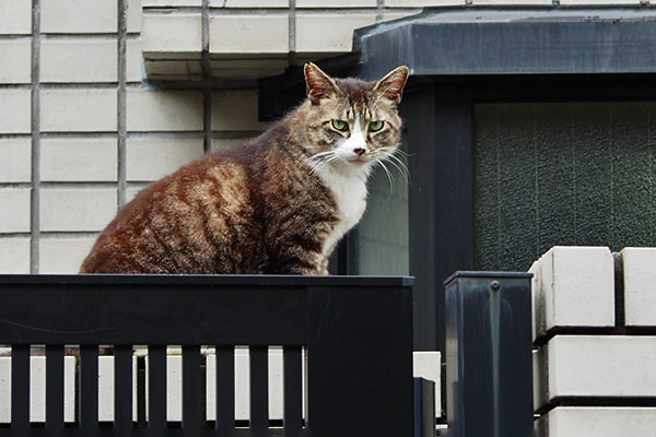 こっちから　アシメ