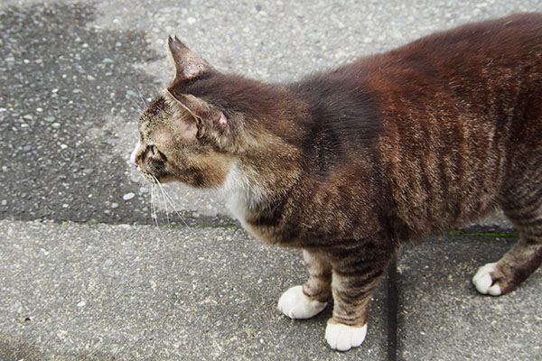 はい着地　アシメ