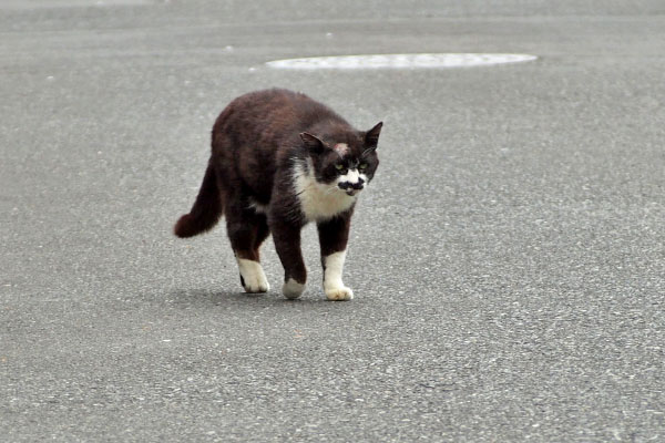 ハゲブッチ　前進