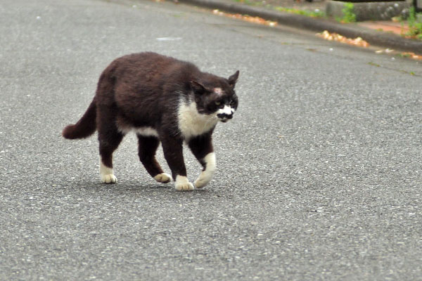 ゆっくりと　ブッチ