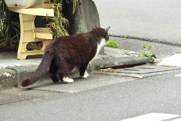 停止して　ブッチ