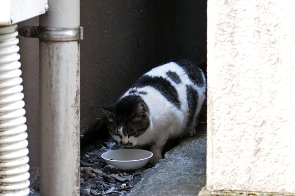 食べる　しぐれ