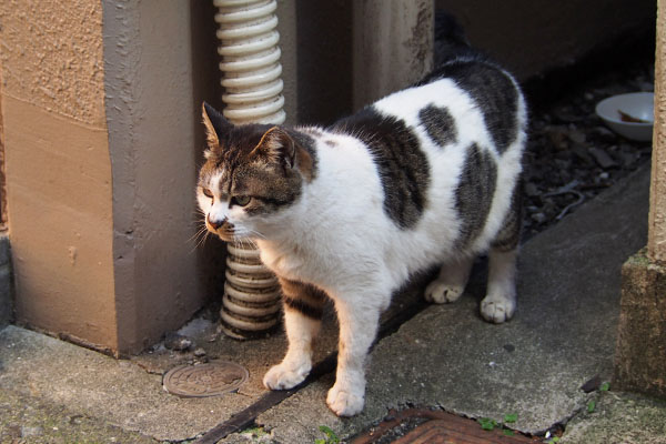 きょうは出て来る　しぐれ