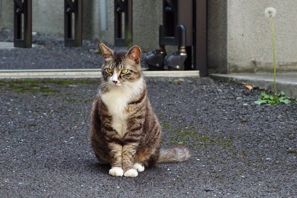 アシメ　少し近くへ