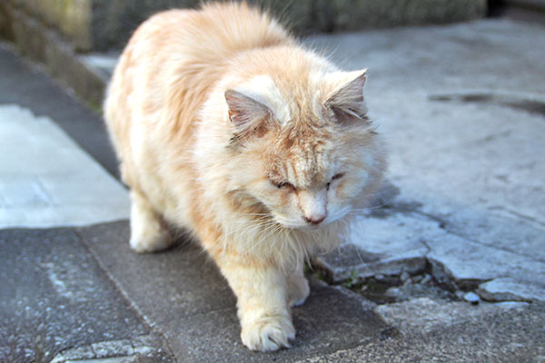 ナリコ　来ました