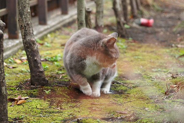 終わったね　レックス