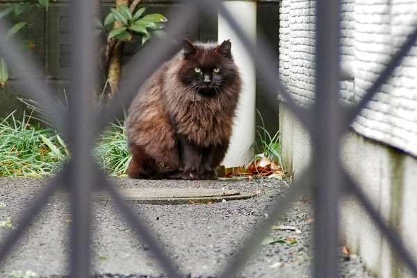 モフネ　更に奥へ