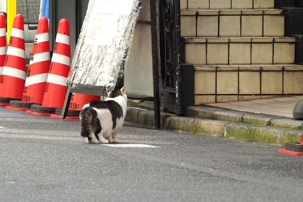 ケイの背中