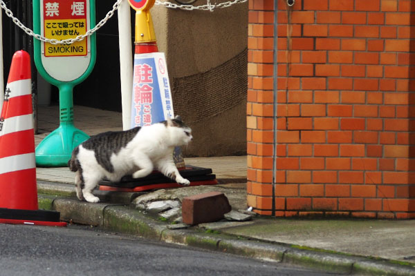 ケイ　ビルの隙間へ