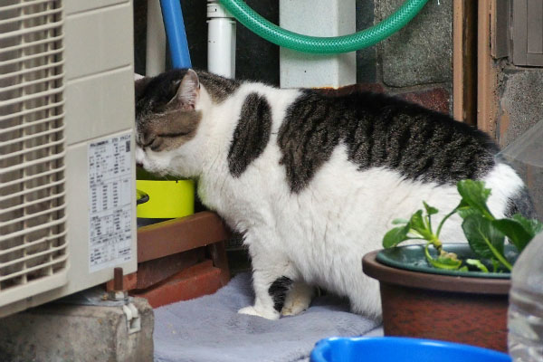 ケイ　食事続行