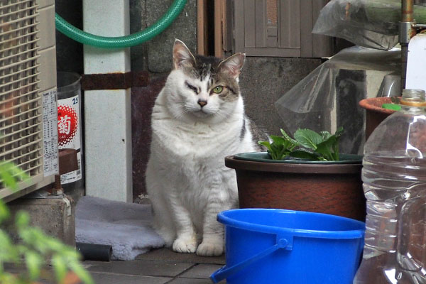 kei top sitting