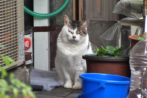 ケイ　渋い顔