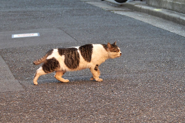 興味を示す