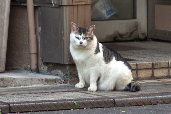 ケイ　見つめ合う