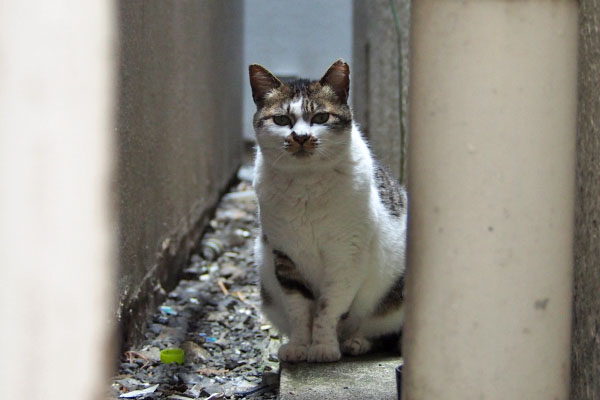 奥へ引っ込む　しぐれ