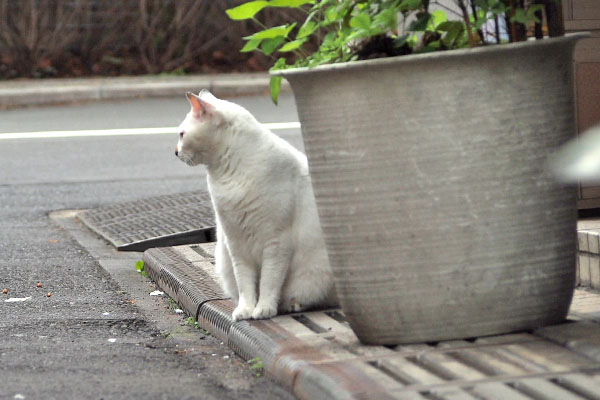 視線外して　オーロラ