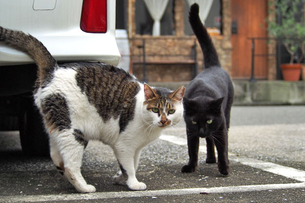 セイとモノタ　安定