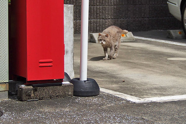 グリ　来る