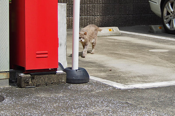 少し遠回り　グリ