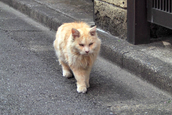 ナリコ　出て来たとこ