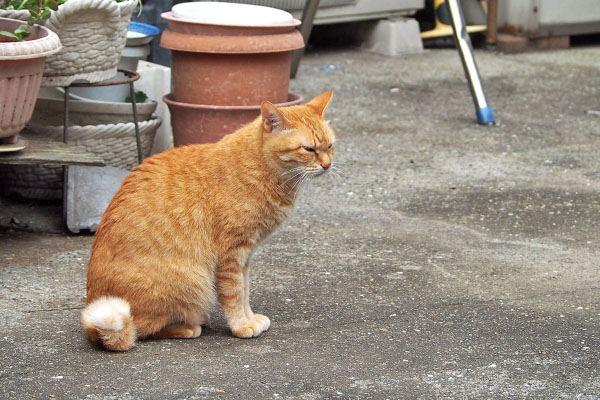 そらちゃん　動くね