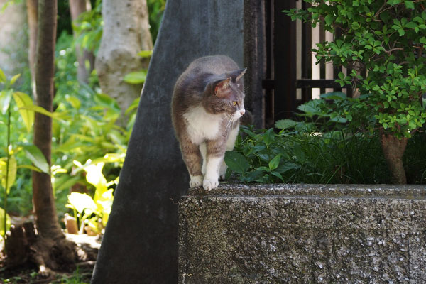 右見て　レックス