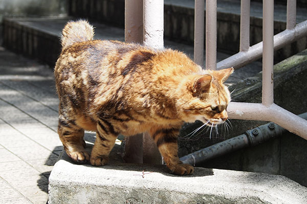 何か言う　クラタン