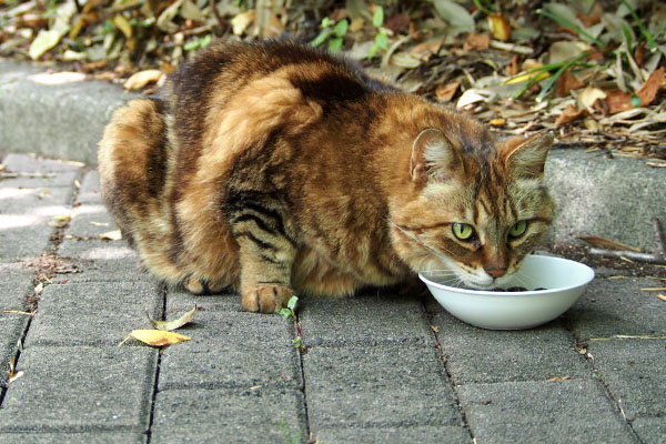 食べる　クラタン