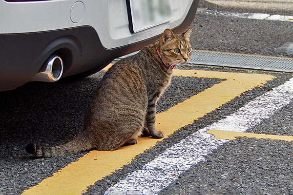 らい太　来てないよね