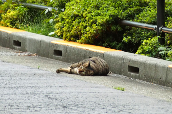 こてんする