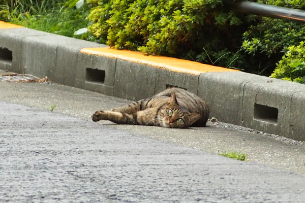 遠く見てる