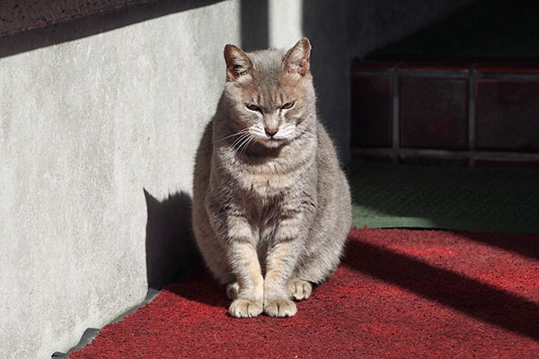 シピ　素に戻る