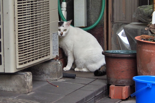 オーロラ　お食事処に