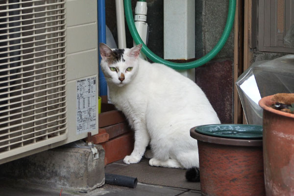 オーロラ　お食事処に２