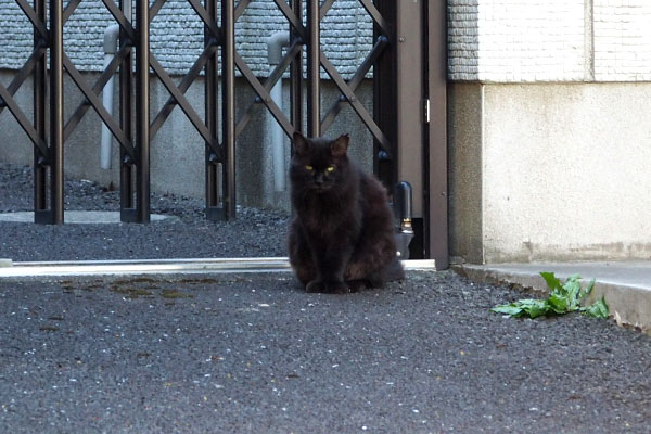 モフネ　警戒の目