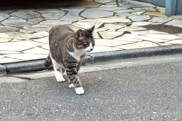 アシメ　道路